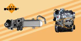  48320 - REFRIGERADOR EGR PEUGEOT 207 1.6D 06-0X0X0